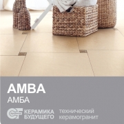 AMBA |NEW|